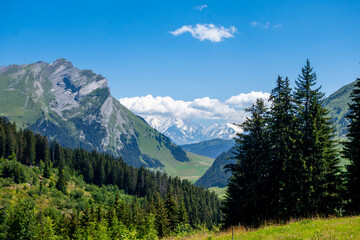 Fototapeta na wymiar Mountain landscape and Mont Blanc view in La Clusaz, France