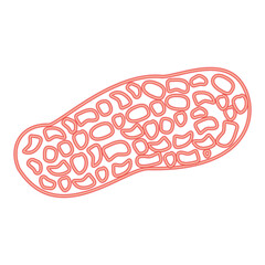 Neon peanut red color vector illustration flat style image