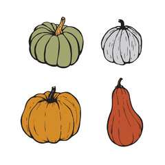 Vector pumpkins collection. Pumpkin sticker, label