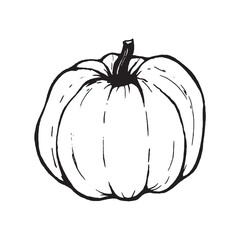 Vector outline pumpkin icon