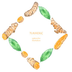 Watercolor frame of curcuma roots