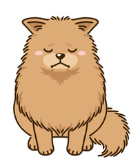 落ち込むポメラニアン（オレンジ）