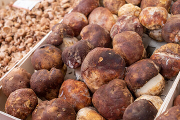 mushrooms at the market place, France