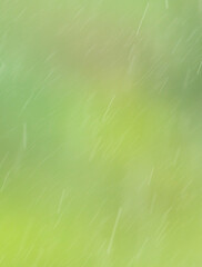 Obraz na płótnie Canvas Rain pours on a green nature background.