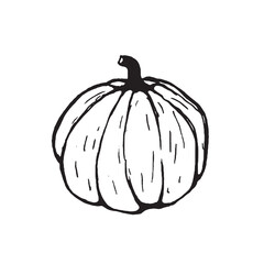 Outline pumpkin icon. Vector pumpkin