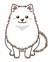 ポメラニアン（白）