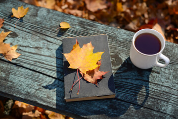 Book, fallen autumn maple leaves, white cup or mug of tea or coffee on wooden desk outdoor, fall background