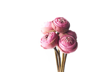 Bouquet of folded pink lotus flower on white background