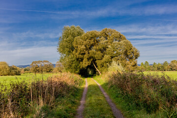 Fototapeta premium Ein Tag am See im herbstlichen Kleid bei Breitungen - Thüringen