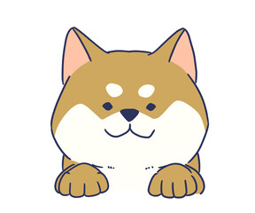 ひょっこりかわいい柴犬