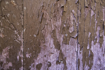Wall with wooden boards