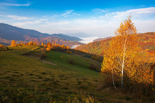 carpathian rural autumn landscape in the morning. mist in the distant valley. trees in colorful foliage on the hills. sunny weather with clouds on the sky