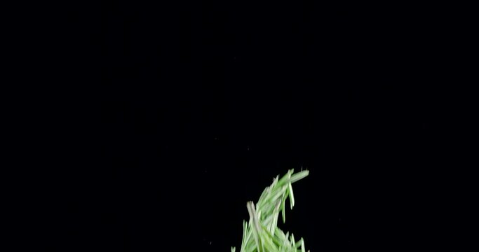 Fresh green rosemary branches slowly fly up and fall on a black background. Blackmagic Ursa Pro G2, 300 fps.