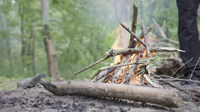 A camp fire in the woods