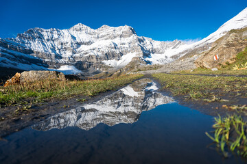 Obraz na płótnie Canvas Reflet de la montagne sur un chemin de montagne