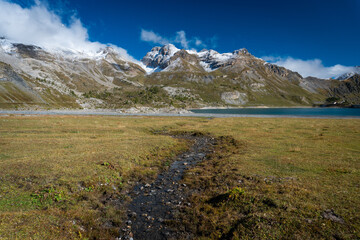 Fototapeta premium Au milieu coule une rivière.