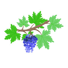 Grape Blueberry Fruit Element Illustration