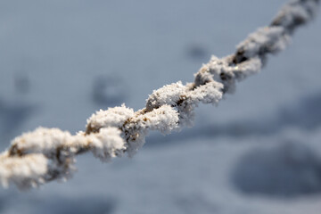 A frosted iron chain. Selective focus.