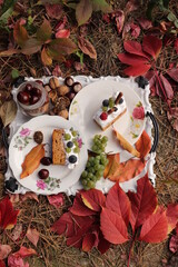 autumn image, slice of caramel cake, whipped cream and fruit, closeup, green grapes, aromatic, red decorative autumn leaves, natural forest setting