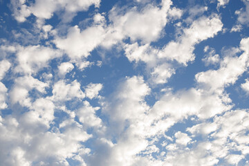 Naklejka na ściany i meble white fluffy clouds on a blue sky during the months of spring in Adelaide, South Australia