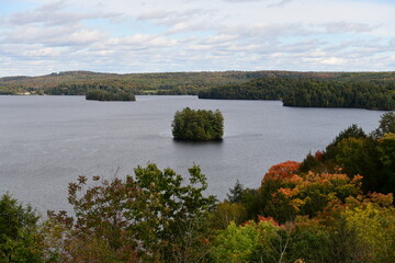 lake and forest