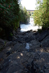 Obraz premium mountain river in the forest