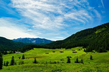 Fototapeta premium Alm