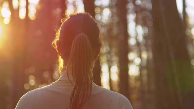 SLOW MOTION, CLOSE UP, LENS FLARE, DOF: Golden sunbeams shine on the brunette woman going for a walk in the picturesque autumn colored forest. Female with a ponytail explores the forest at sunset