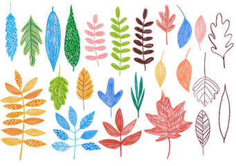 Pencil drawn forest set of leaves and plants