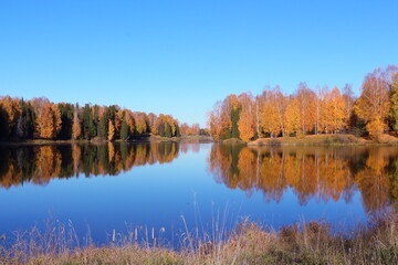 autumn landscape with lake and trees