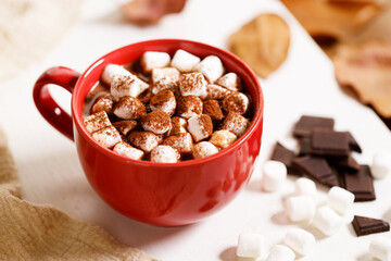 Hot chocolate with marsmallow candies