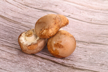 Raw brown champignons mushroom heap