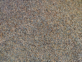 expanded millet seeds texture.