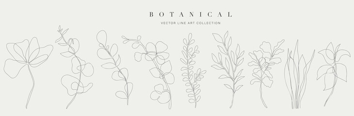 Botanical arts. Hand drawn continuous line drawing of abstract flower, floral, ginkgo, tropical leaves, spring and autumn leaf, bouquet of olives. Vector illustration.