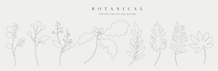 Botanical arts. Hand drawn continuous line drawing of abstract flower, floral, ginkgo, tropical leaves, spring and autumn leaf, bouquet of olives. Vector illustration.