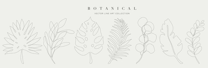 Botanical arts. Hand drawn continuous line drawing of abstract flower, floral, ginkgo, tropical leaves, spring and autumn leaf, bouquet of olives. Vector illustration.