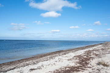 seashore in estonia