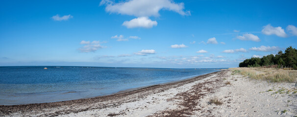 Obraz premium seashore in estonia