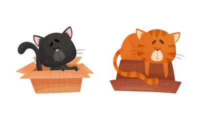 Adorable cats in boxes set. Funny black and red cat sitting and sleeping with cardboard box cartoon vector illustration