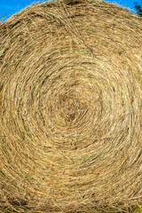 haystack