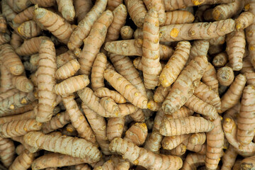 turmeric. a lot of raw turmeric root in the basket. top view