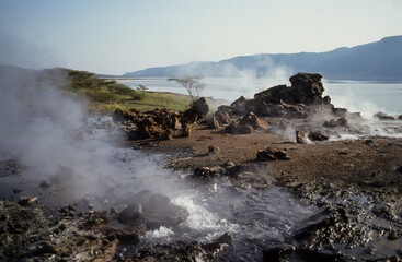 Lac Bogoria, Parc national, vallée du rift, Kenya