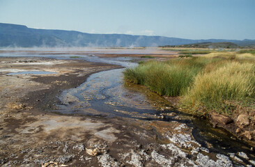 Lac Bogoria, Parc national, vallée du rift, Kenya