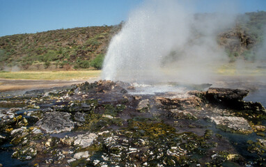 Obraz premium Lac Bogoria, Parc national, vallée du rift, Kenya