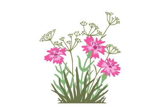 Doodle illustration with the alpine pink flowers and wild meadow grass. Vector image of composition with plants on a white background.