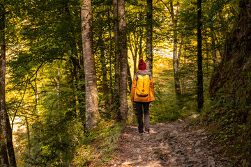 A young woman on the path to the Holtzarte suspension bridge, Larrau. In the forest or jungle of Irati, Pyrenees-Atlantiques of France