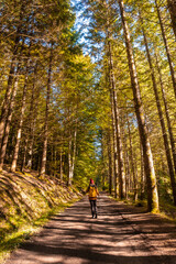 Obraz premium Irati forest or jungle in autumn, a young woman on the trail of the Irati houses. Ochagavia, northern Navarra in Spain