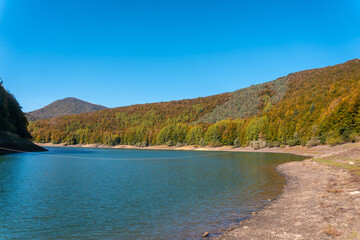 Obraz premium Irati forest or jungle in autumn, the beautiful Irabia reservoir. Ochagavia, northern Navarra in Spain