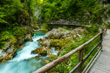 Fototapeta na wymiar Vintgar Gorge in Slovenia. Europe Beautiful Wild Nature