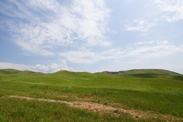 Fototapeta premium キルギス・春のアスランバブ近郊